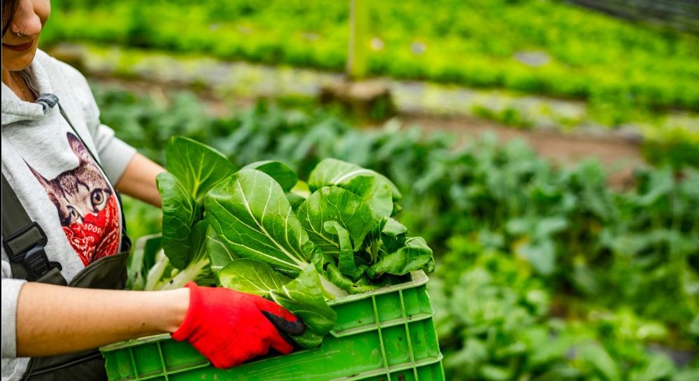 #9EMESconf┃ Excursions to local social enterprises in Frankfurt